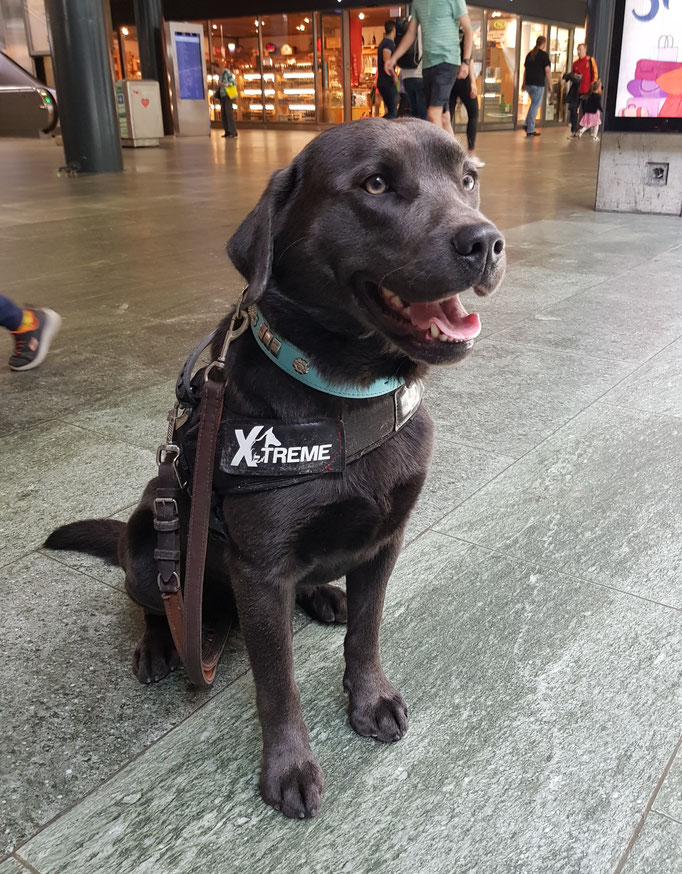 Besuch  Bahnhof, Brax