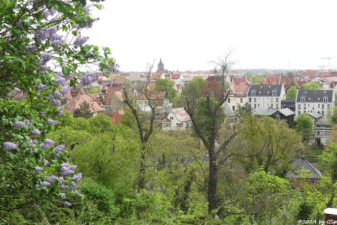 Halle
