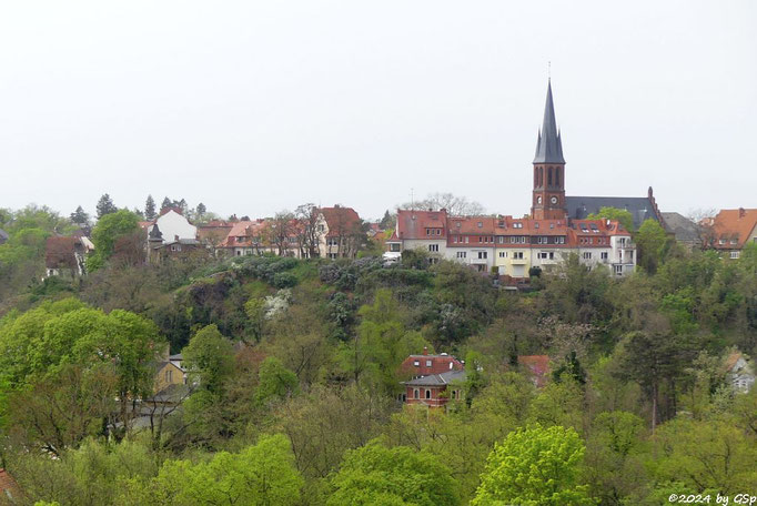 Halle Petruskirche