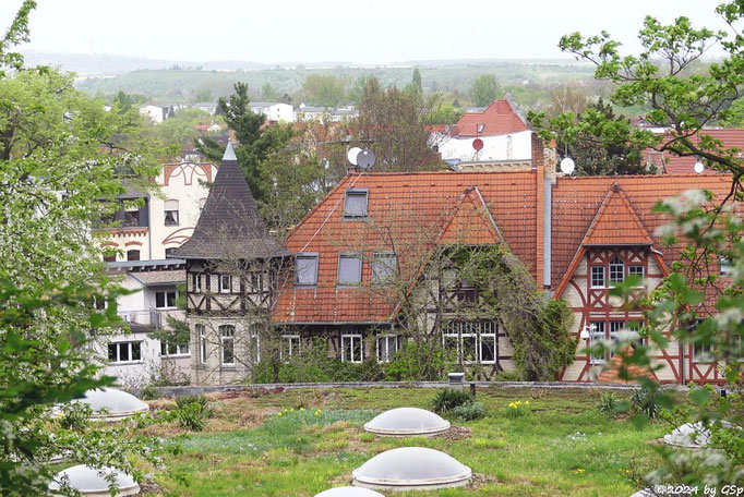 Halle