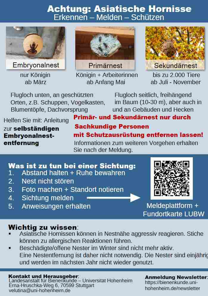 Link zur Bienenkunde.uni-hohenheim unterhalb dieser Bilder