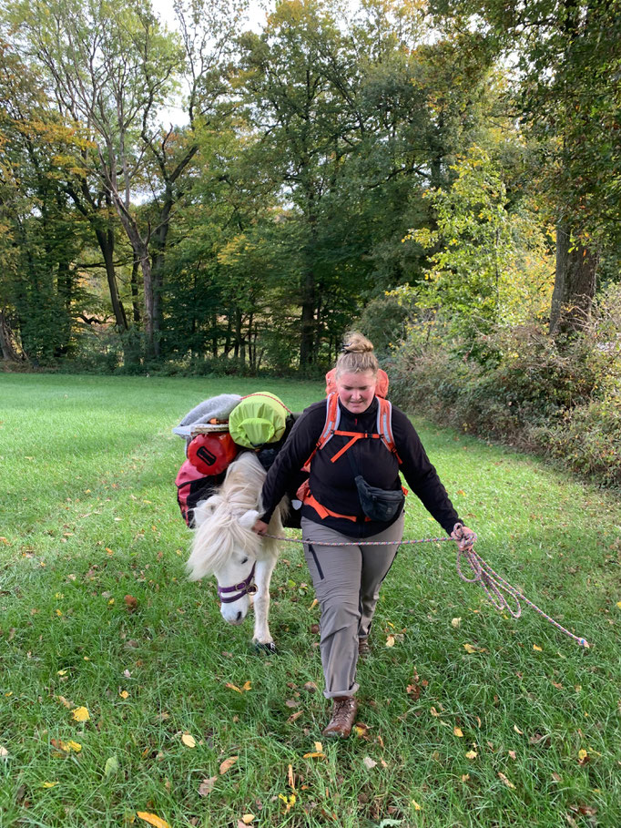 Wandern in Lengerich mit Fenja