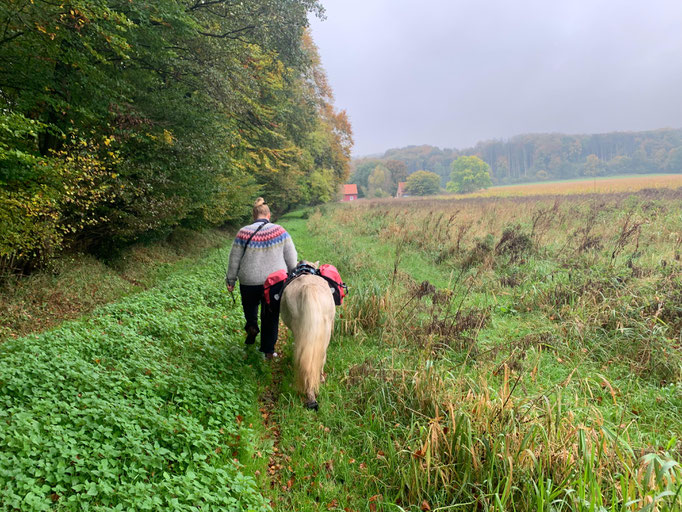 Wandern in Lengerich mit Fenja