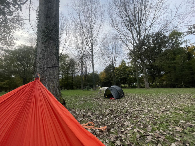 Blick aus der Hängematte