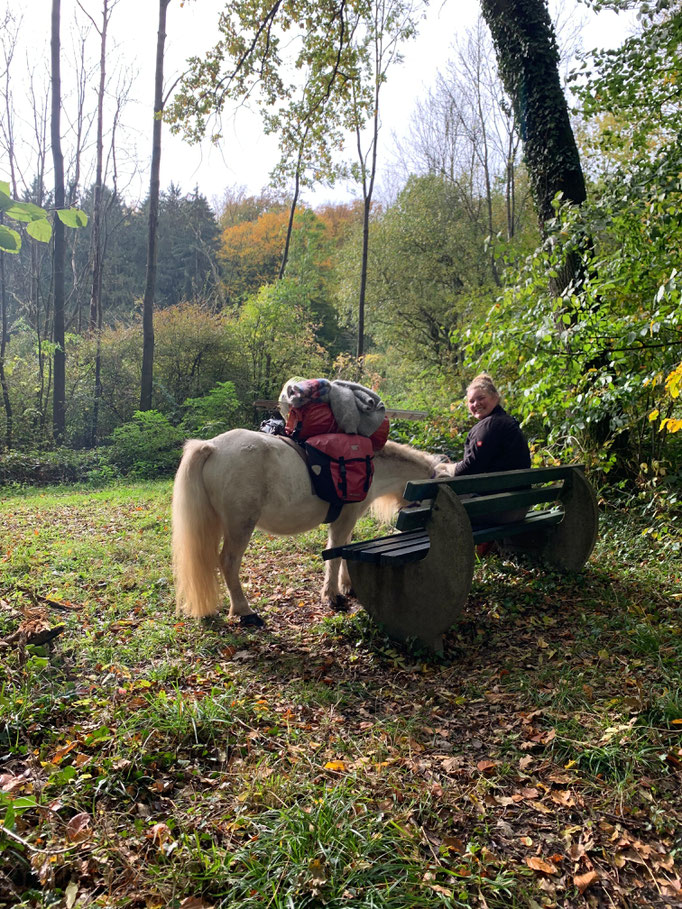Pause im Wald
