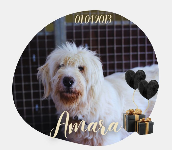 Amara