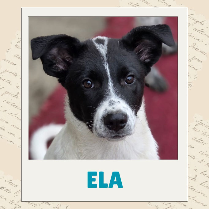 Ela