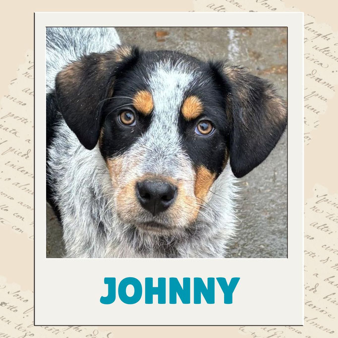 Johnny