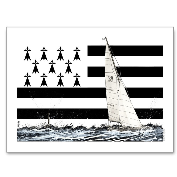 Gwenn ha du 2 - Requin