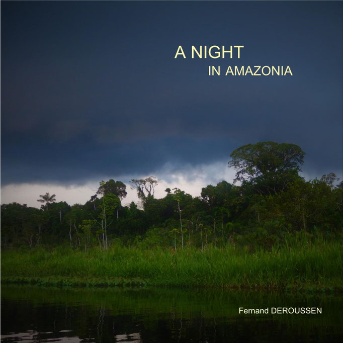 UNE NUIT EN AMAZONIE