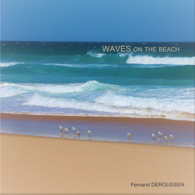 DES VAGUES SUR LA PLAGE