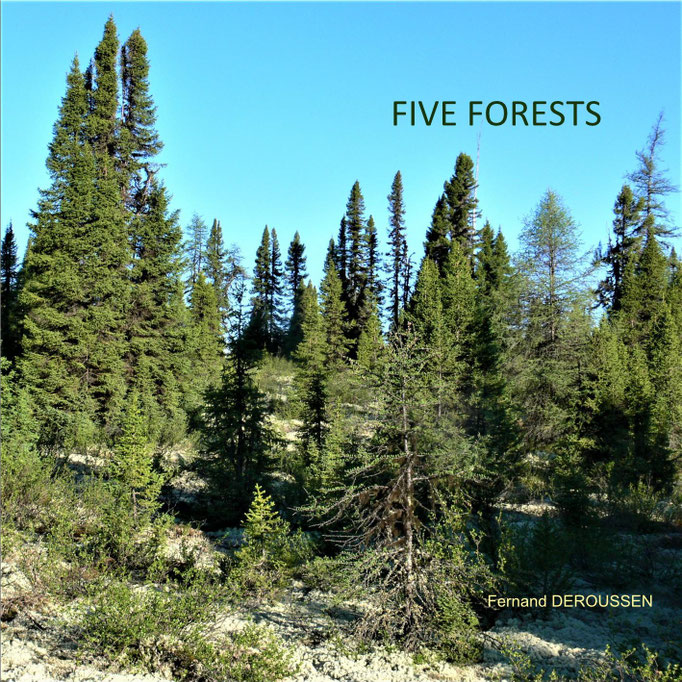 FORÊTS D'ICI ET D'AILLEURS
