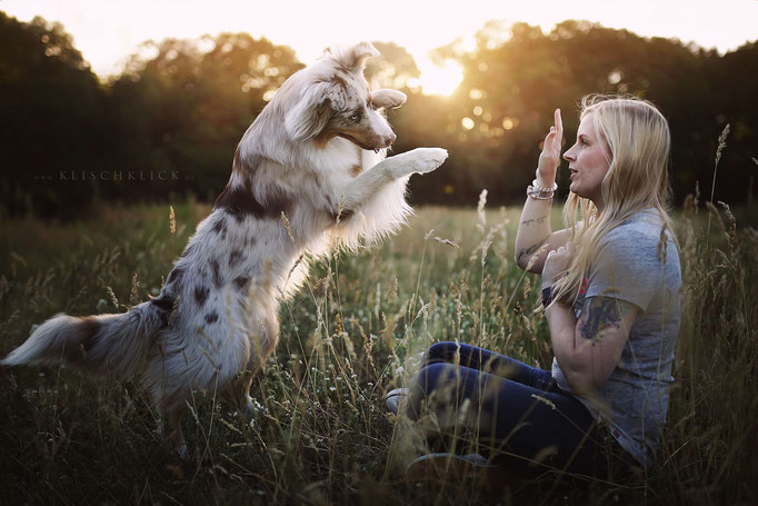 Mein Hund und ich Tierfotografie Berlin