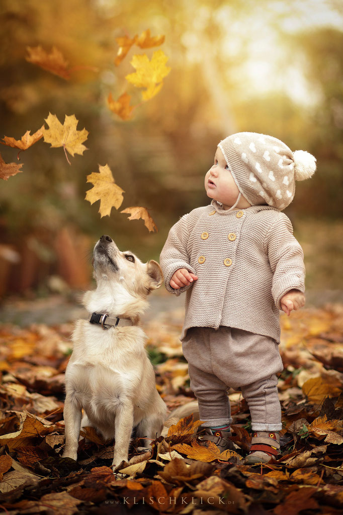 Mein Hund und ich Tierfotografie Berlin