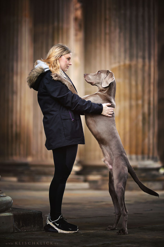 Mein Hund und ich Tierfotografie Berlin