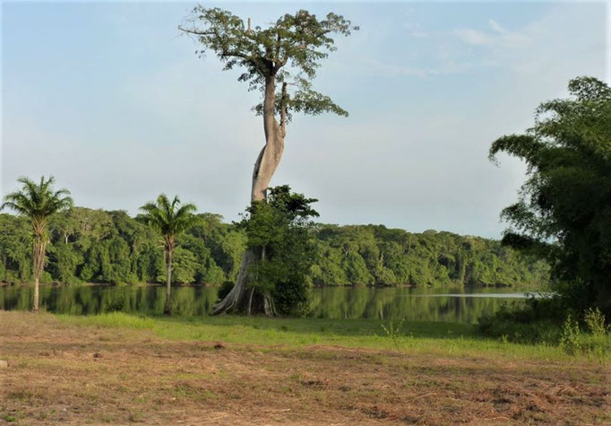 Moloundou, Parc National de Lobeke