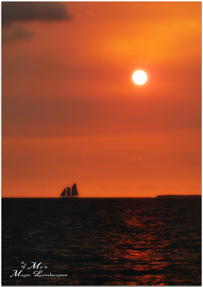 "Key West Sunset" (2011)