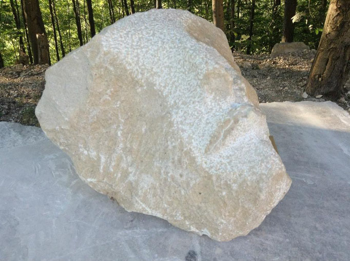 Kopf Steinskulptur Abelina Carissima Magometschnigg