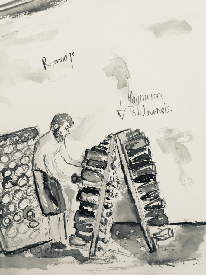 Drawing of Julien Launois riddling | Champagne Launois Paul @ Le-Mesnil-sur-Oger - Côte des Blancs (proche Épernay)
