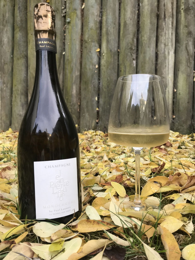 Cuvée "Monochrome" (Blanc de blancs Grand Cru Chardonnay) : mise en scène automnale | Champagne Launois Paul @ Le-Mesnil-sur-Oger - Côte des Blancs (proche Épernay)