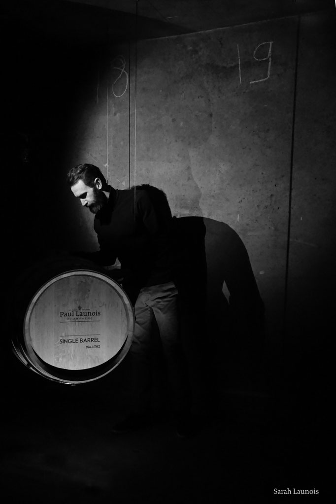 Tasting still wines from Single Barrel | Champagne Launois Paul @ Le-Mesnil-sur-Oger - Côte des Blancs (proche Épernay)