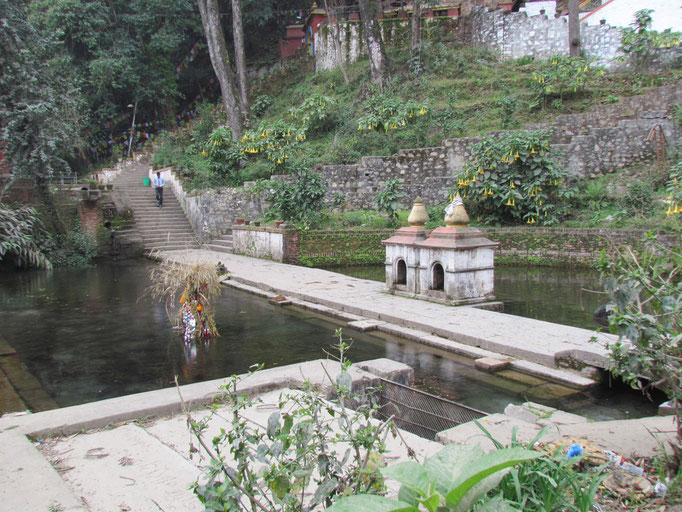 Teich