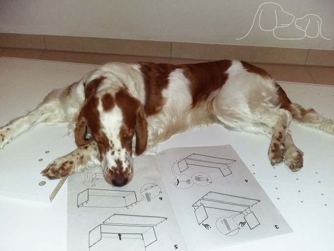 Projekt- und Bauleitung
