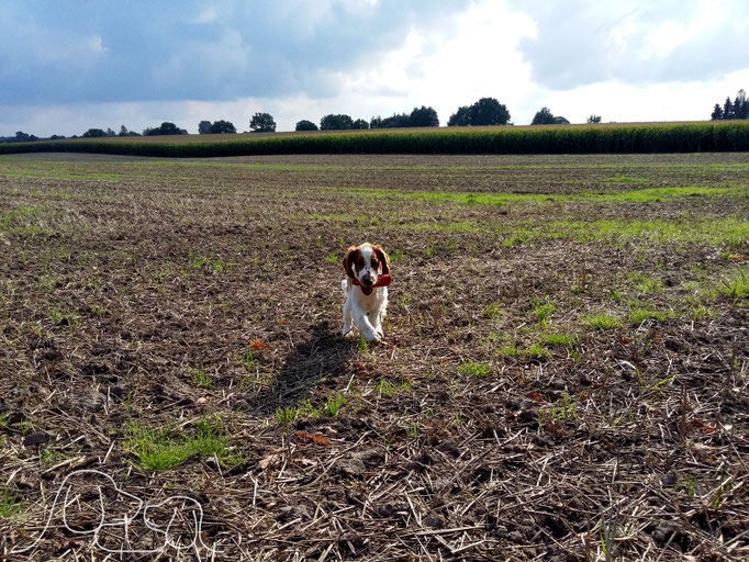 Dummyarbeit? Gerne!