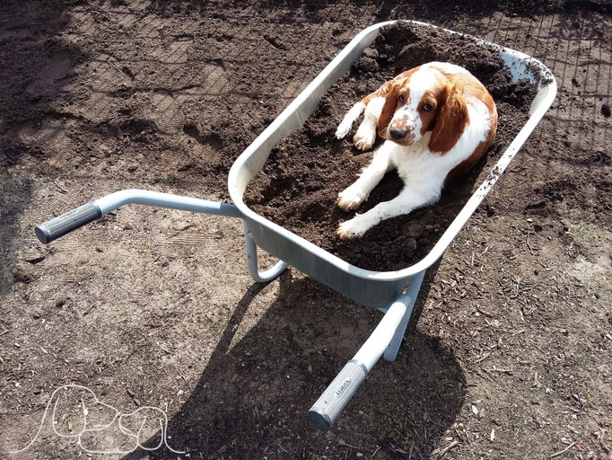 Bei der Gartenarbeit