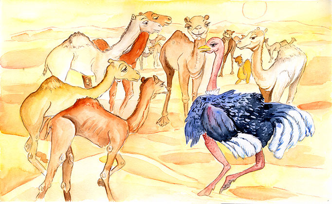 illustration aquarelle Awara le dromadaire
