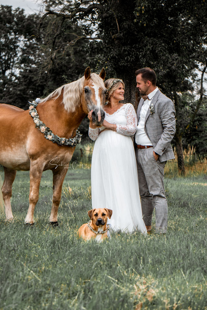 Hochzeit mit Pferd