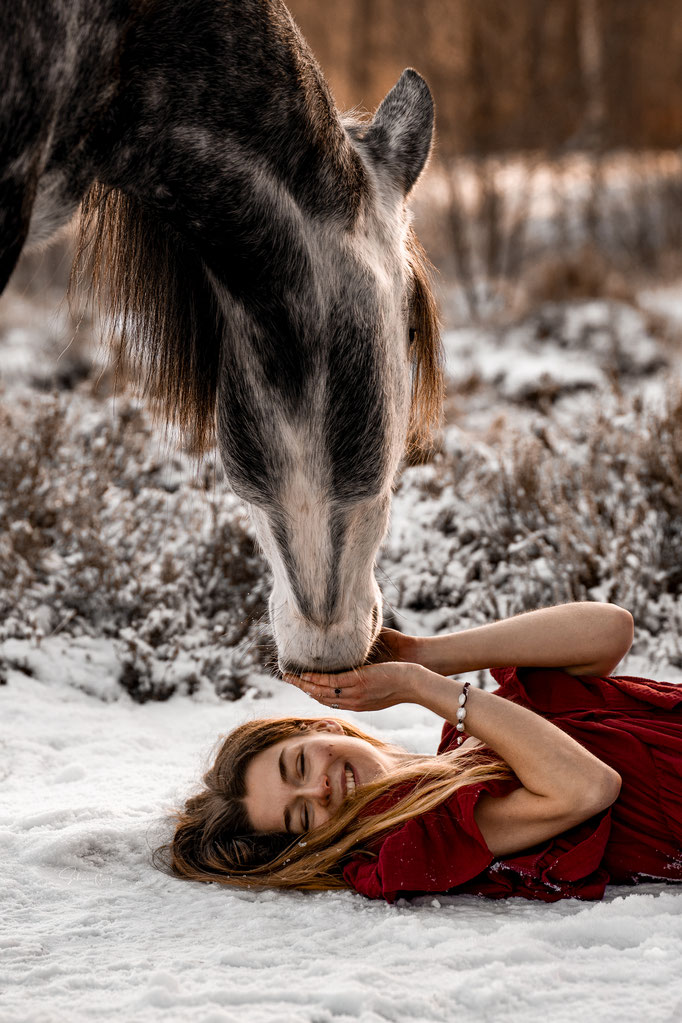 Winterbild Pferd