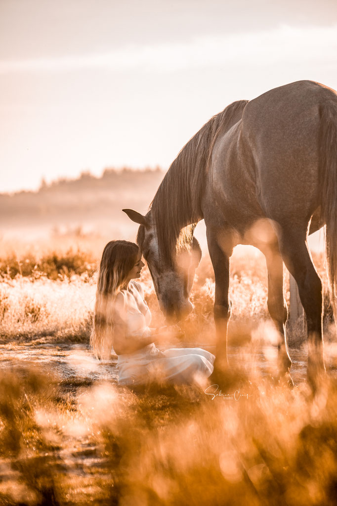 Sunrise Heide