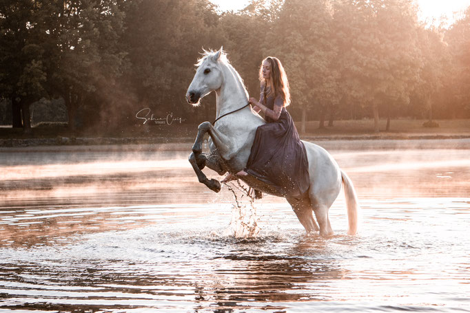 Steigens Pferd im Wasser