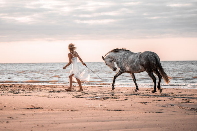 Pferd am Strand