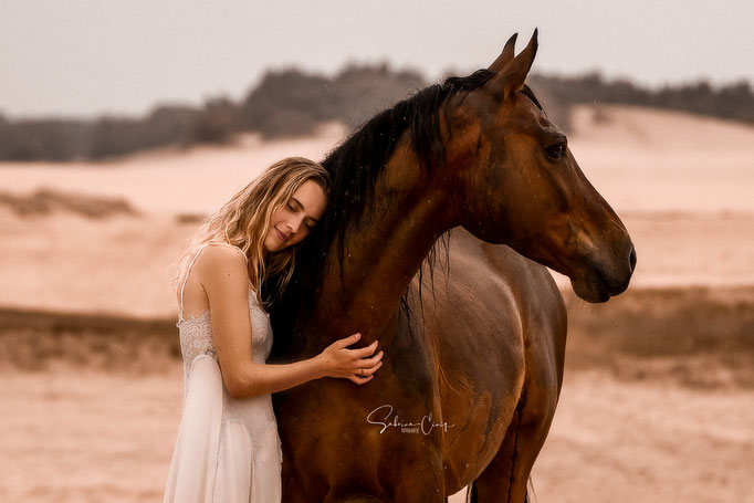 Regenshooting Pferdefotografie