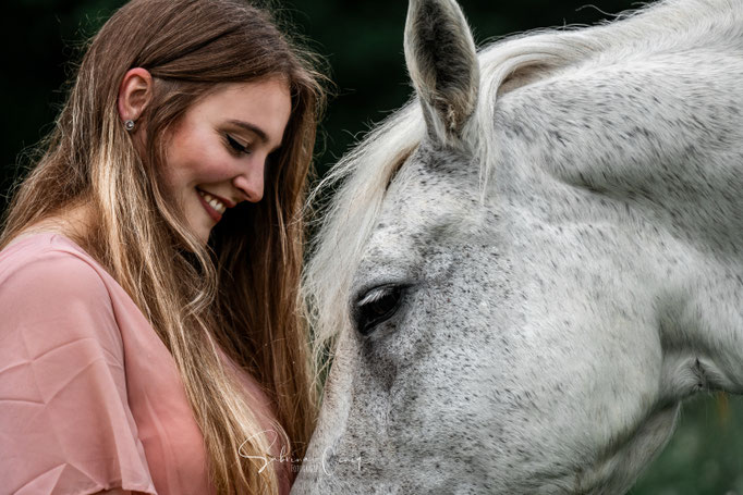 Close Up weißes Pferd