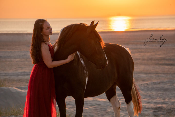 Geschecktes Pferd STrand