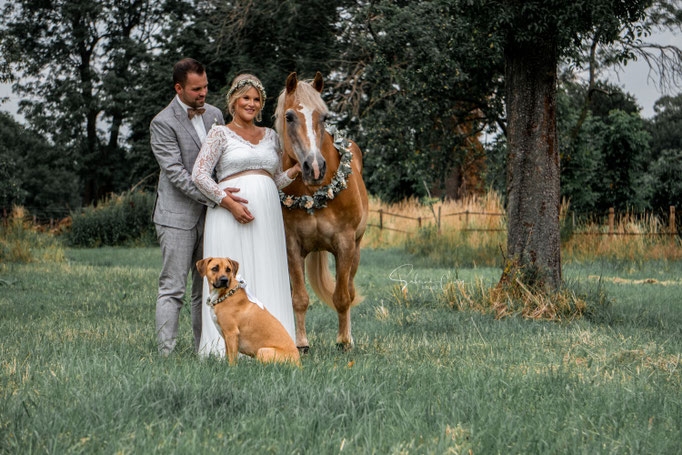 Haflinger Hochzeit