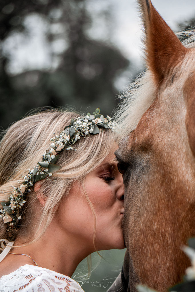 Pferd und Braut