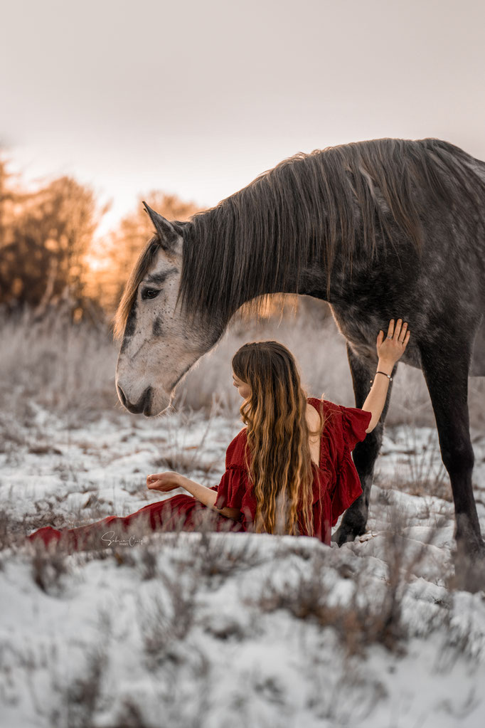 Pferdeshooting im Winter