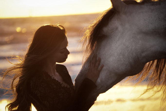 Spanische Pferd am Meer