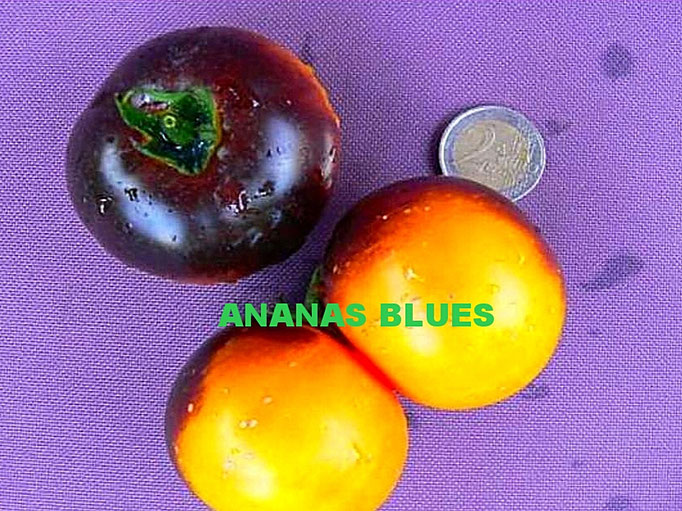 ANANAS BLUES