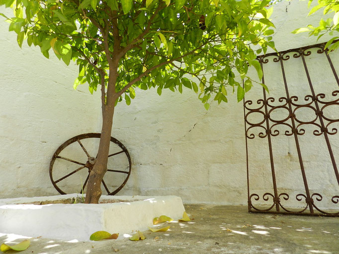 Decorazioni della terrazza