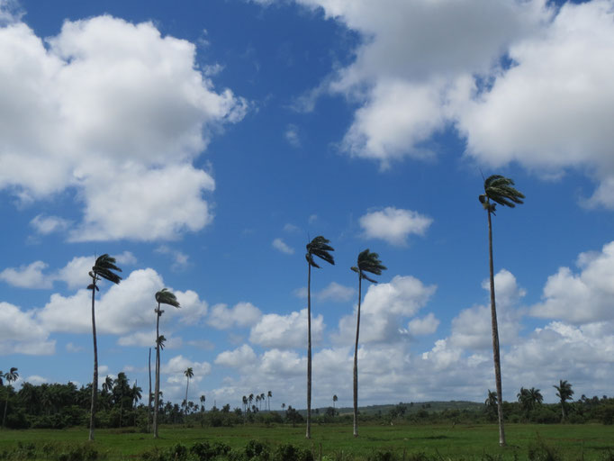 Cuba