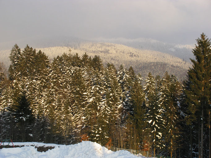 Winterstimmung