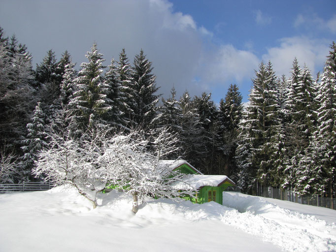 Unser Bienenhaus im Schneekleid 