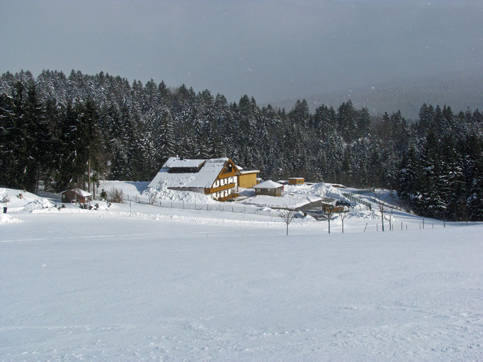Winterzauber im Bayerischen Wald