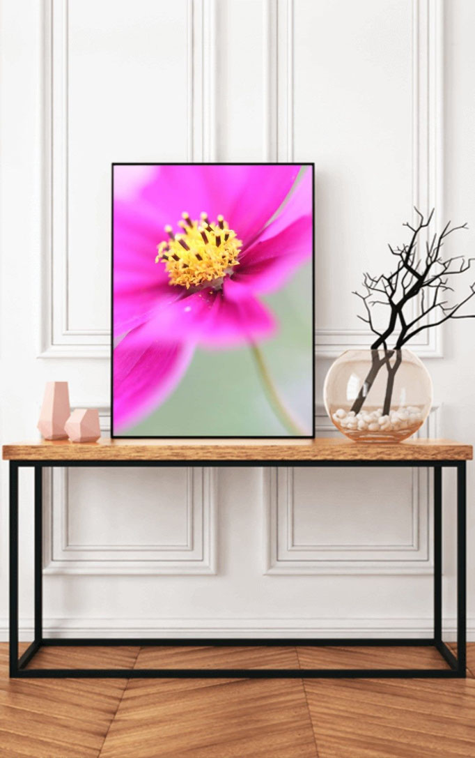 Wandbild Blüte pink