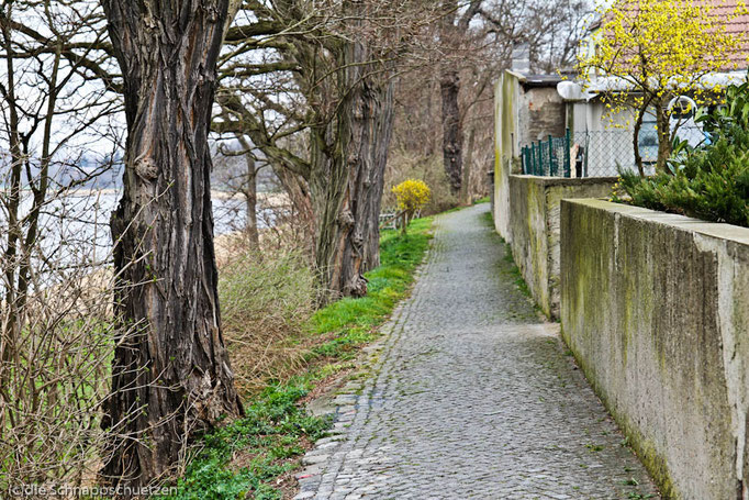 Elberadweg Meißen - Torgau | Reiseblog by (c) die Schnappschützen 